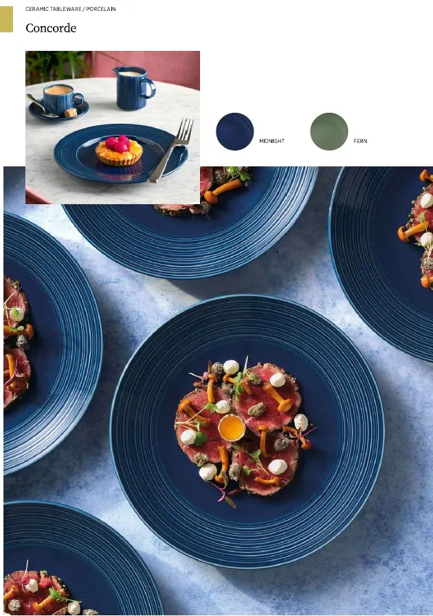 Concorde blau Hauptbild.webp