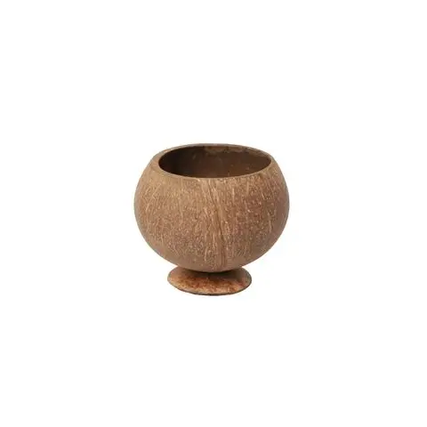 tic0913 coconut natural with base 1.webp