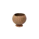 tic0913 coconut natural with base 1.webp