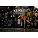 gmrt210 cocktail martini set 4.webp