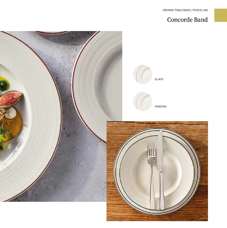 Concorde Band Hauptbild 2.webp