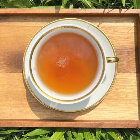 teeliebe-tee-aus-bayern-darjeeling-feiner-bester-aus-indien-tee.webp
