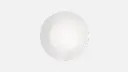 Options 2.webp