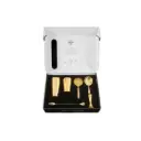 Cocktail Box 6 tlg. Edelstahl goldfarben