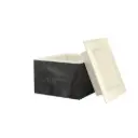 Eiswürfelbox für 3 Eisblöcke