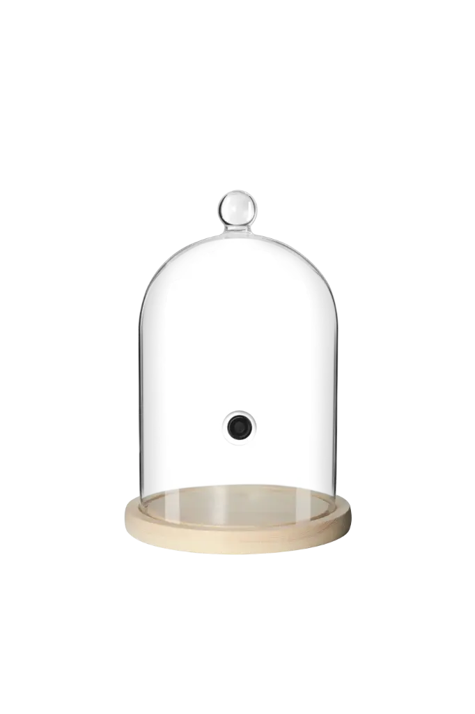 Glaskuppel zum Smoken Edelstahl goldfarben 