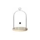 Glaskuppel zum Smoken Edelstahl goldfarben 