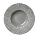 Gourmet Teller 28,5 cm tief Rimmed  Willow Mist