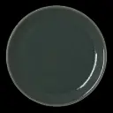 Coupe Plate 28 cm Revolution Jade