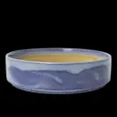 Stacking Deep Plate 122 cl Aurora Revolution Bluestone