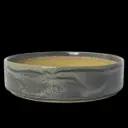 Stacking Deep Plate 122 cl Aurora Revolution Granite