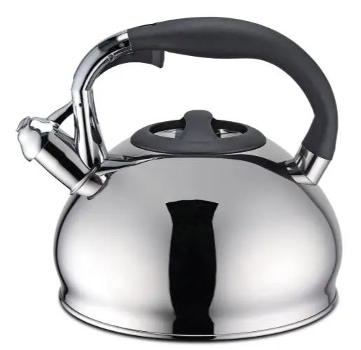 Wasserkessel induktionsgeeignet 2,8 L