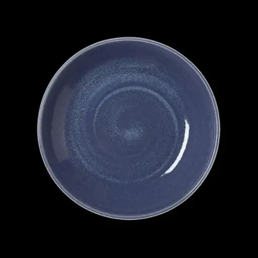 [PR/03220] Coupe Bowl 25,5 cm Revolution Bluestone