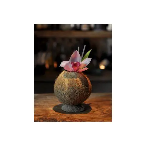 [PR/04220] Kokusnuss natur 