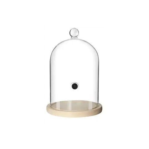 [PR/04271] Glaskuppel zum Smoken Edelstahl goldfarben 