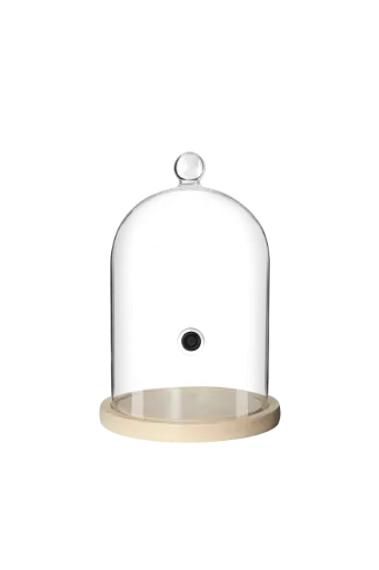 [PR/04271] Glaskuppel zum Smoken Edelstahl goldfarben 