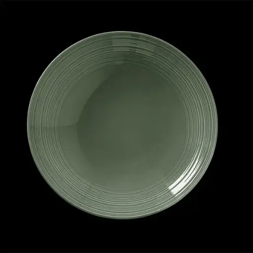 [PR/04526] Teller tief 25,5 cm coupe Concorde Vollglasur grün