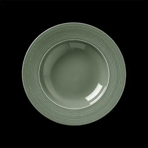 [PR/03117] Teller tief 24 cm  Fahne Concorde Vollglasur grün