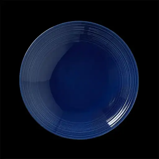 [PR/01481] Teller tief 25,5 cm coupe Concorde Vollglasur blau