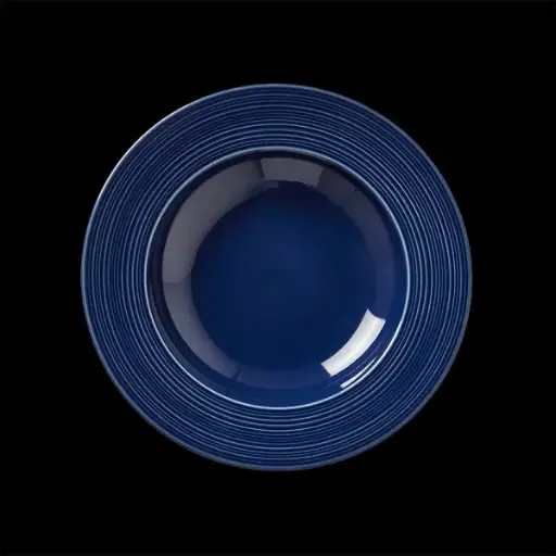 [PR/03110] Teller tief 24 cm  Fahne Concorde Vollglasur blau