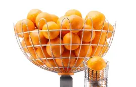 [PR/00284] Fruchtkorb inkl. Halterung für Revolution Orangensaftmaschine