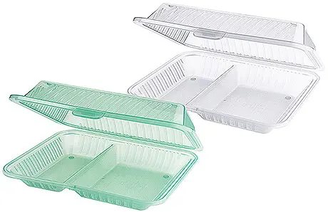 Menübox  mit 2 Fachern 21 x 25,5 x 7,5 cm Eco Takeout